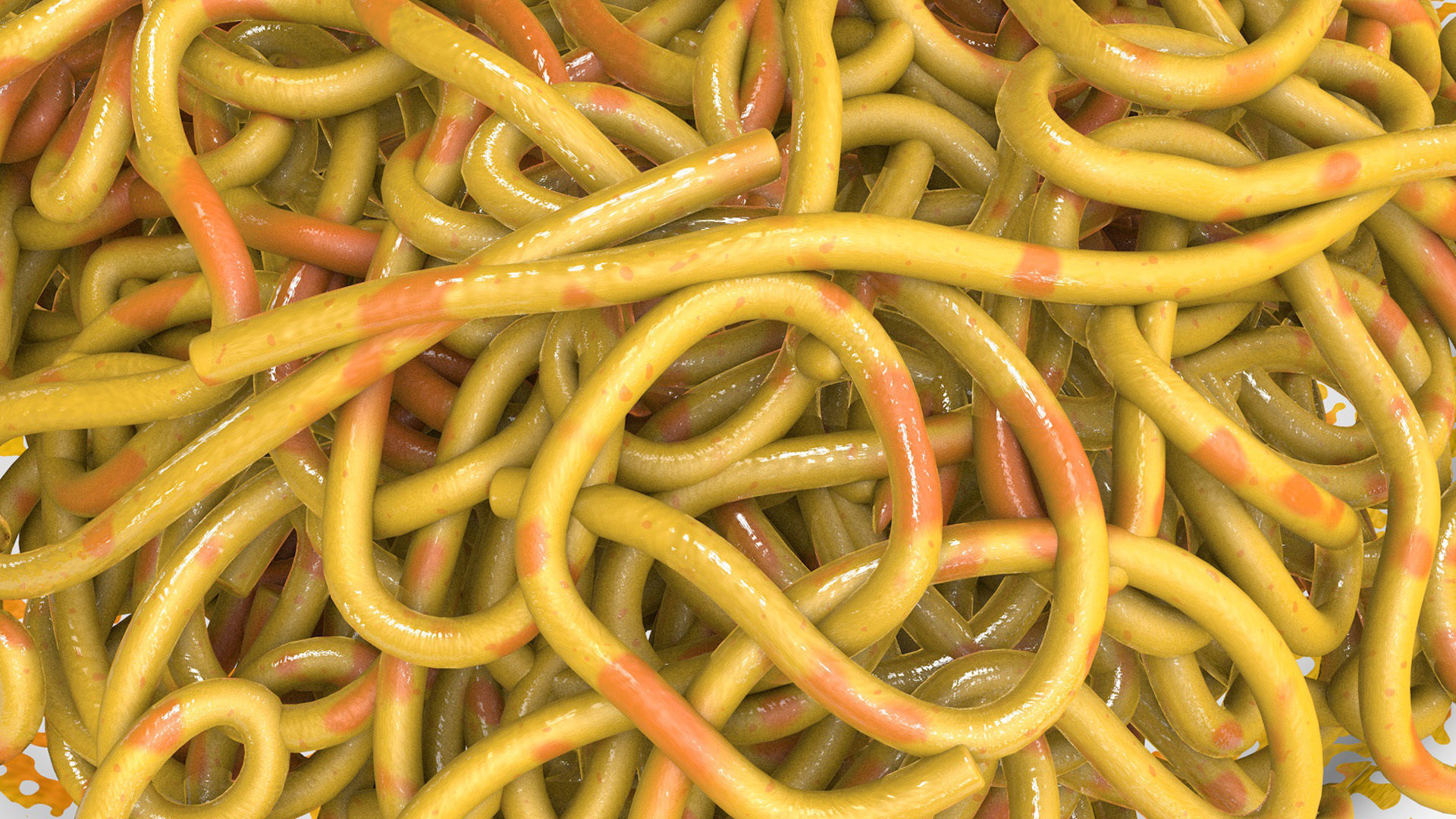 Spaghetti - Pasta With Fork and Glass of Water 3D model_5