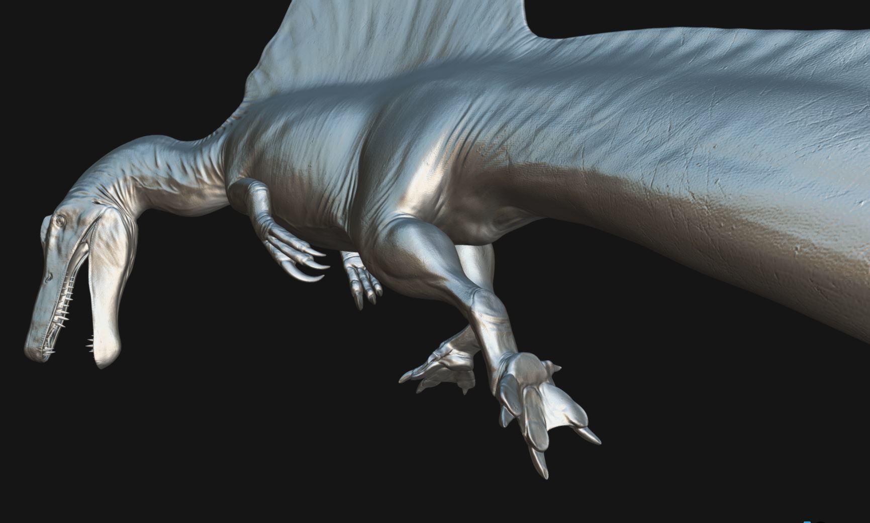 Spinosaurus aegyptiacus Low-poly 3D model_9