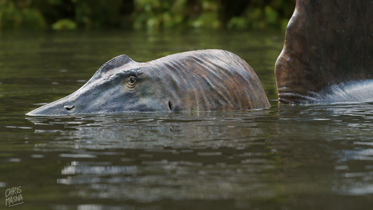 Spinosaurus aegyptiacus Low-poly 3D model_13