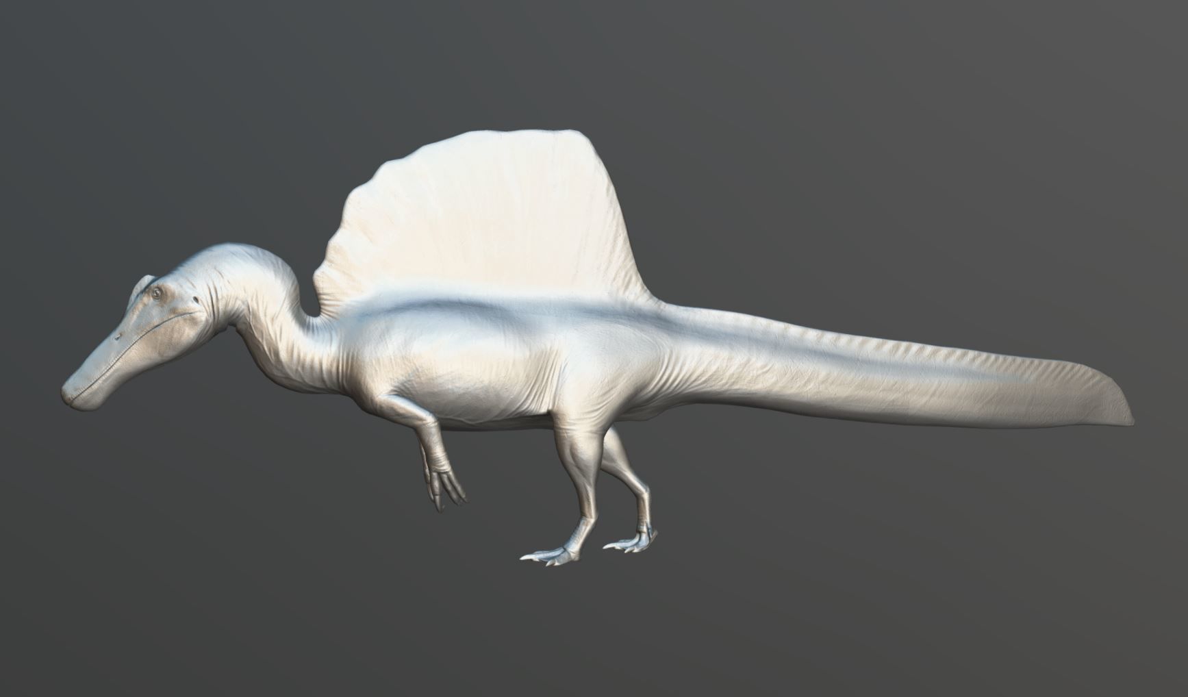 Spinosaurus aegyptiacus Low-poly 3D model_4