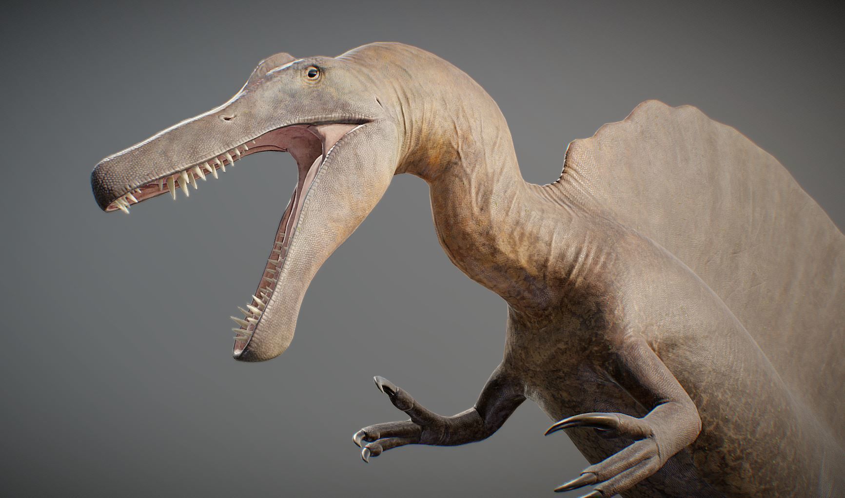 Spinosaurus aegyptiacus Low-poly 3D model_10