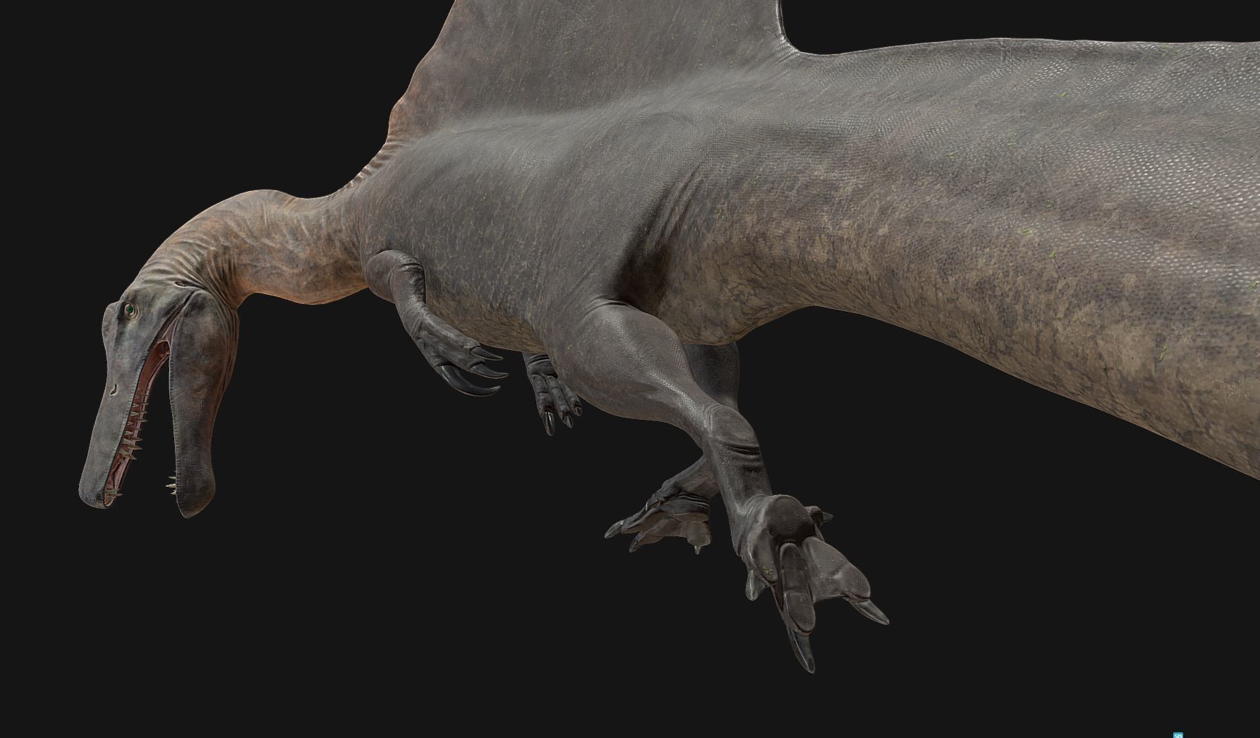 Spinosaurus aegyptiacus Low-poly 3D model_8