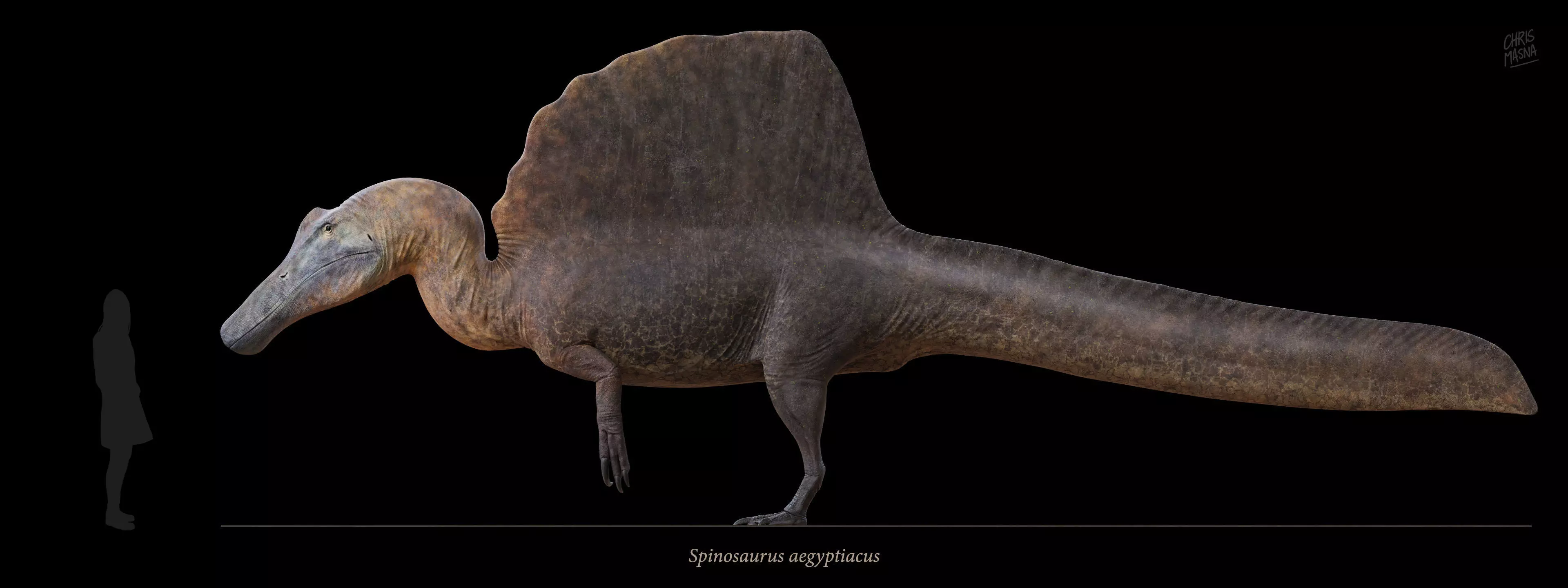 Spinosaurus aegyptiacus Low-poly 3D model_0