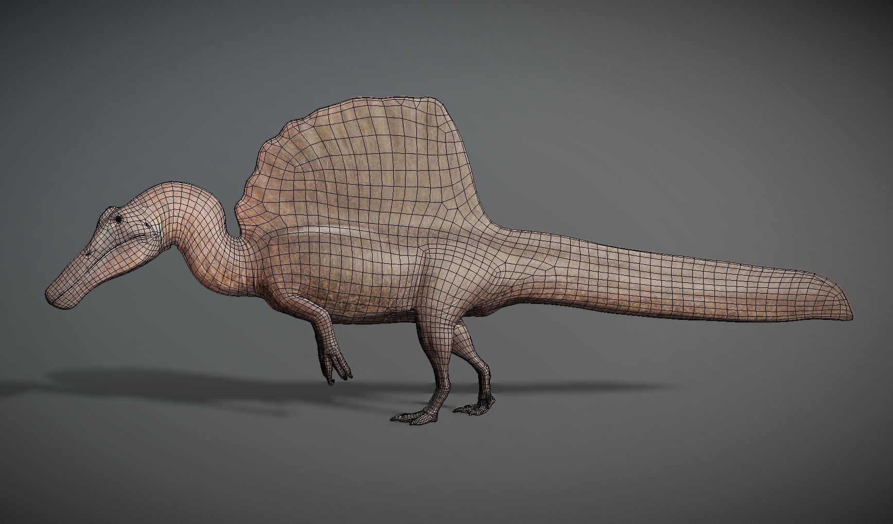Spinosaurus aegyptiacus Low-poly 3D model_5