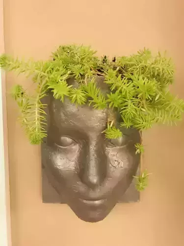 Wall Hanging Head Planter