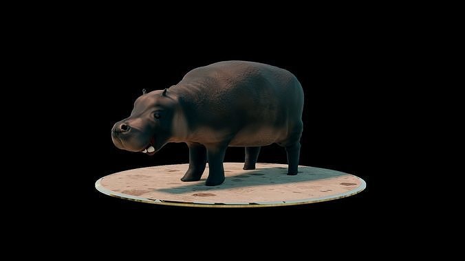 Hippopotamus on platform Low-poly 3D model