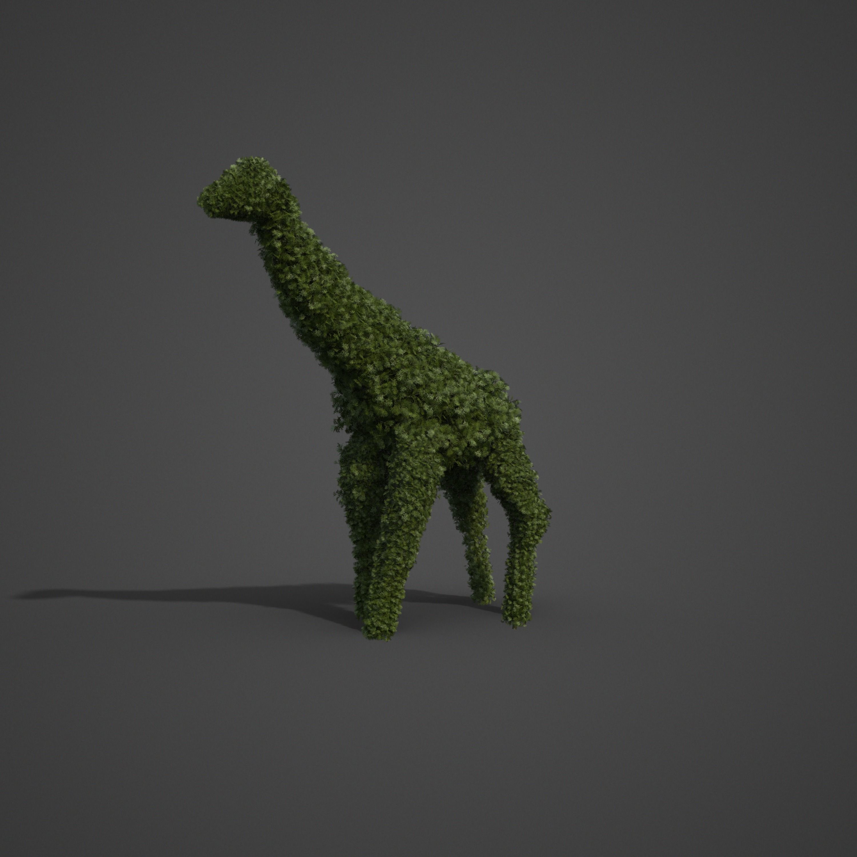 2021 PBR False Cypress Bushes Collection - Chamaecyparis  3D model_3