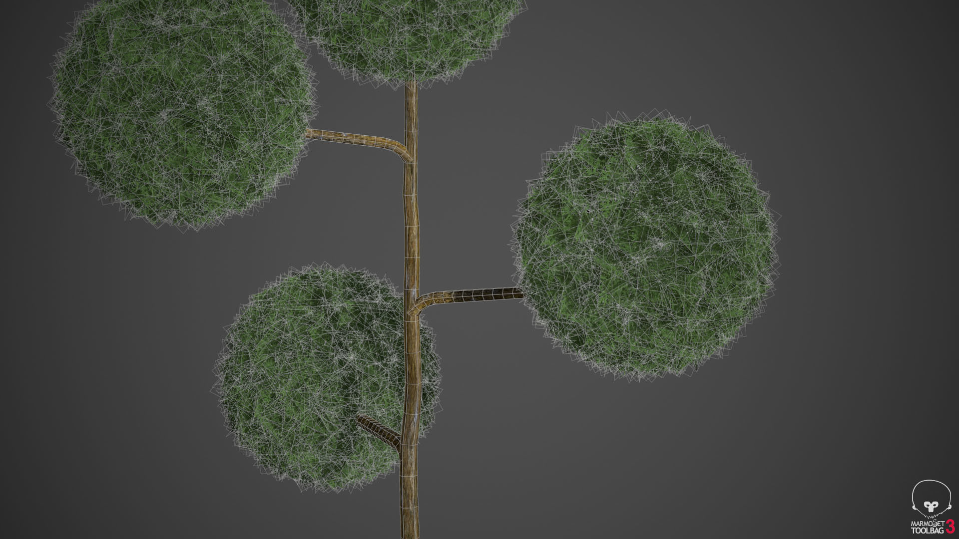 2021 PBR False Cypress Bushes Collection - Chamaecyparis  3D model_4