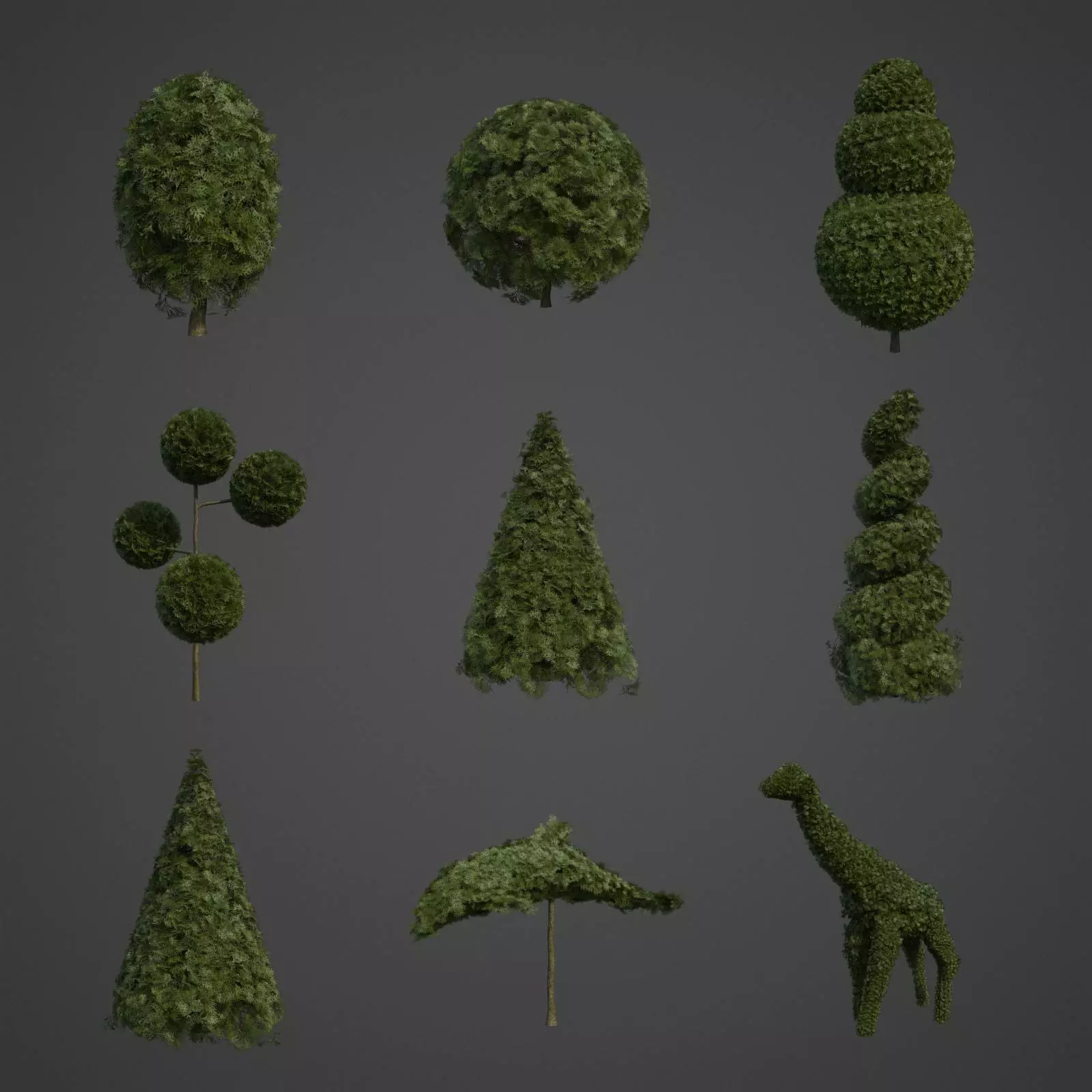2021 PBR False Cypress Bushes Collection - Chamaecyparis  3D model_0