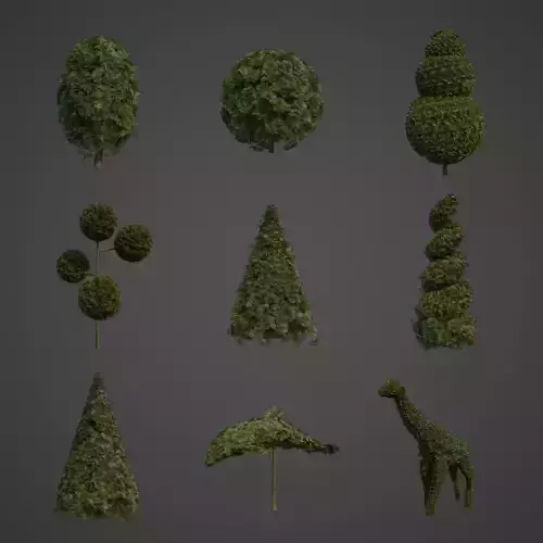 2021 PBR False Cypress Bushes Collection - Chamaecyparis 