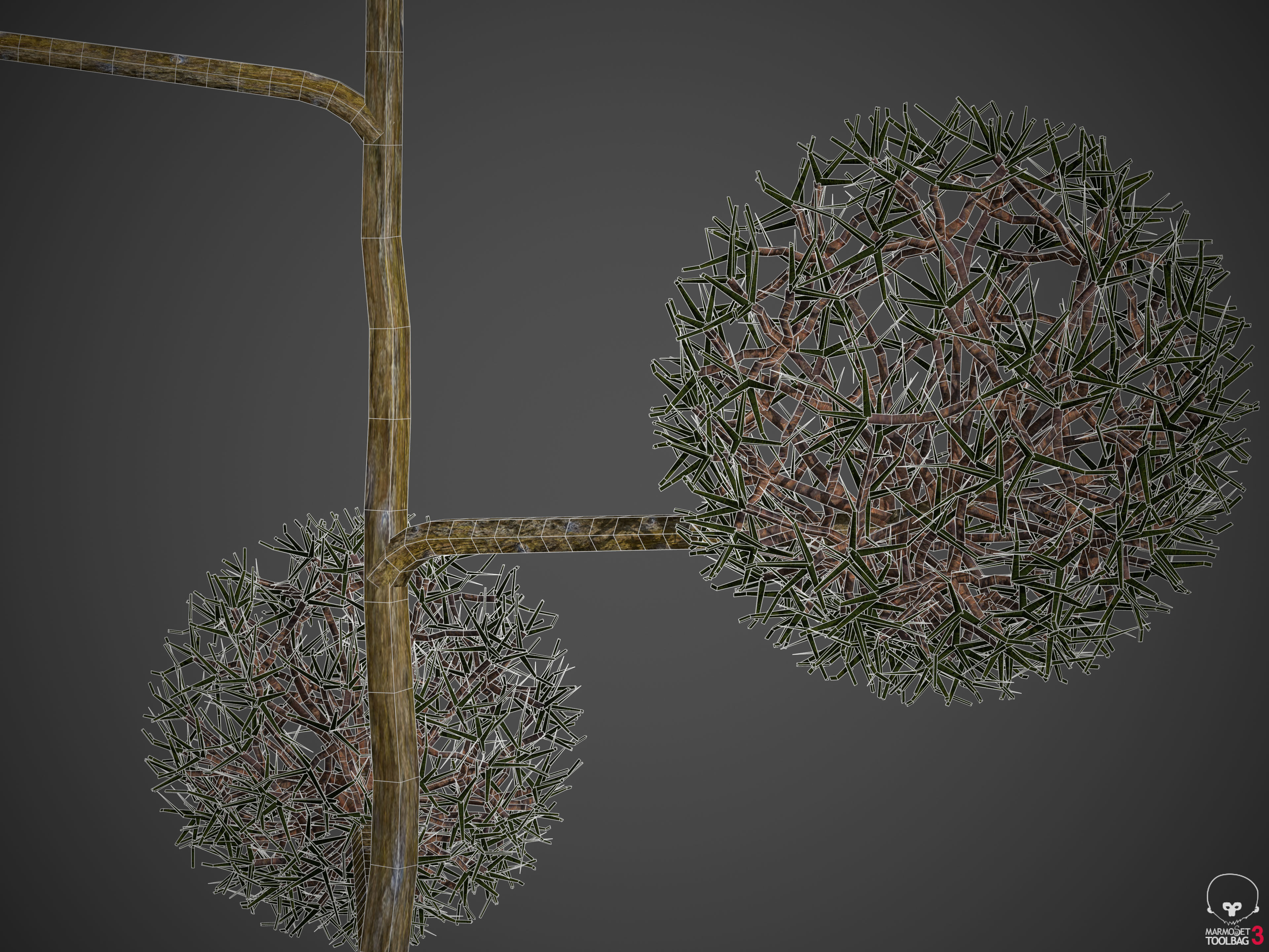 2021 PBR False Cypress Bushes Collection - Chamaecyparis  3D model_8