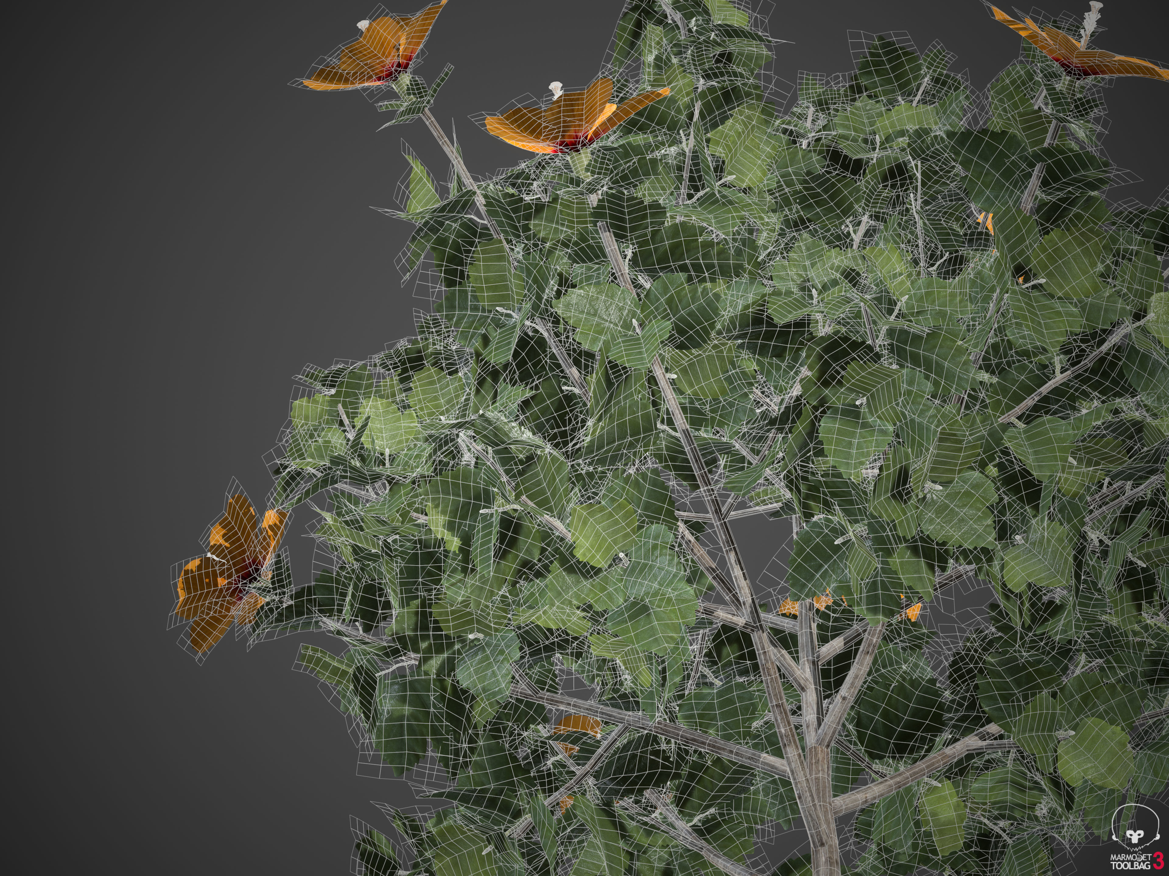 2021 PBR Hibiscus Collection 3D model_10