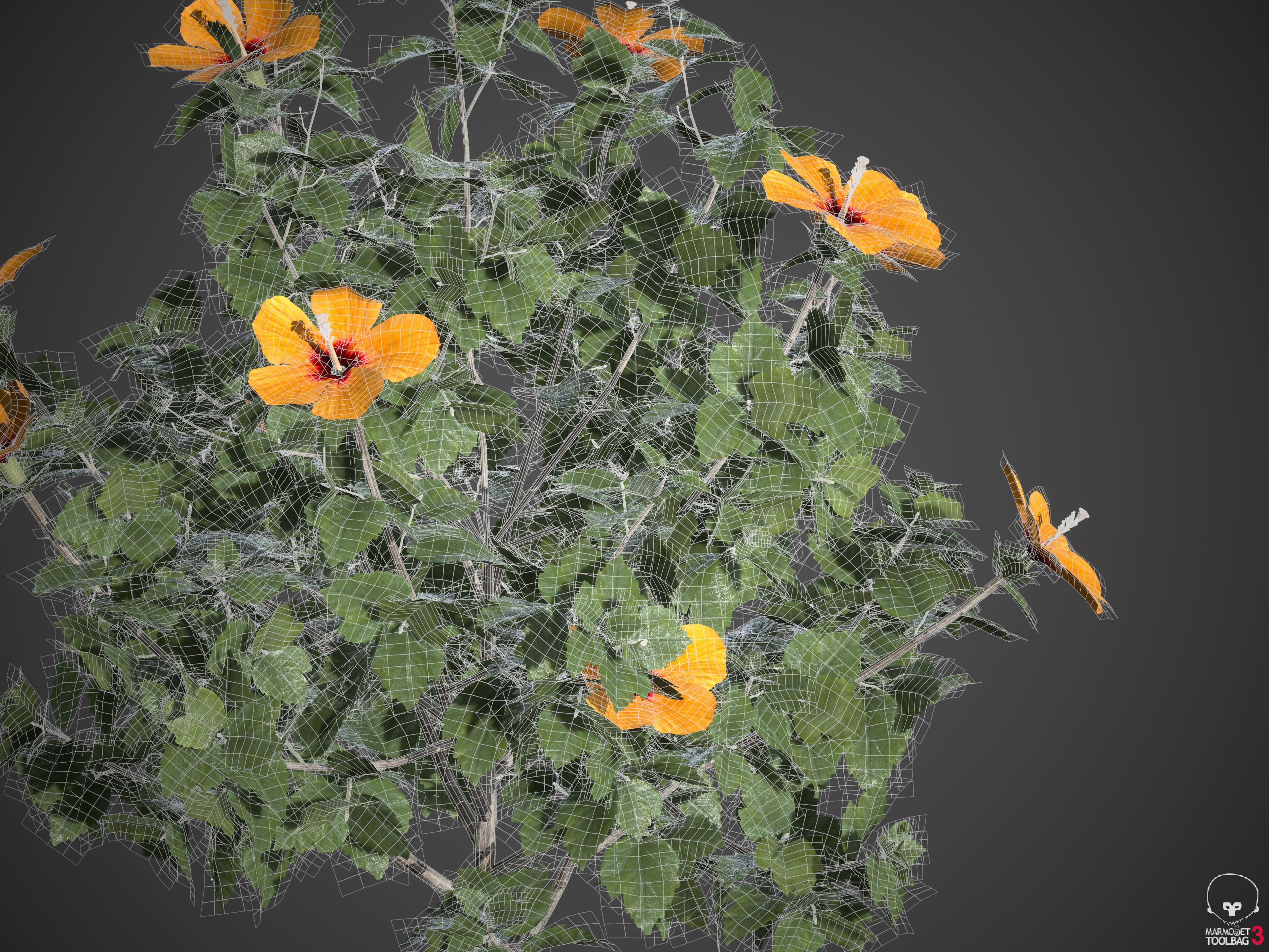 2021 PBR Hibiscus Collection 3D model_9