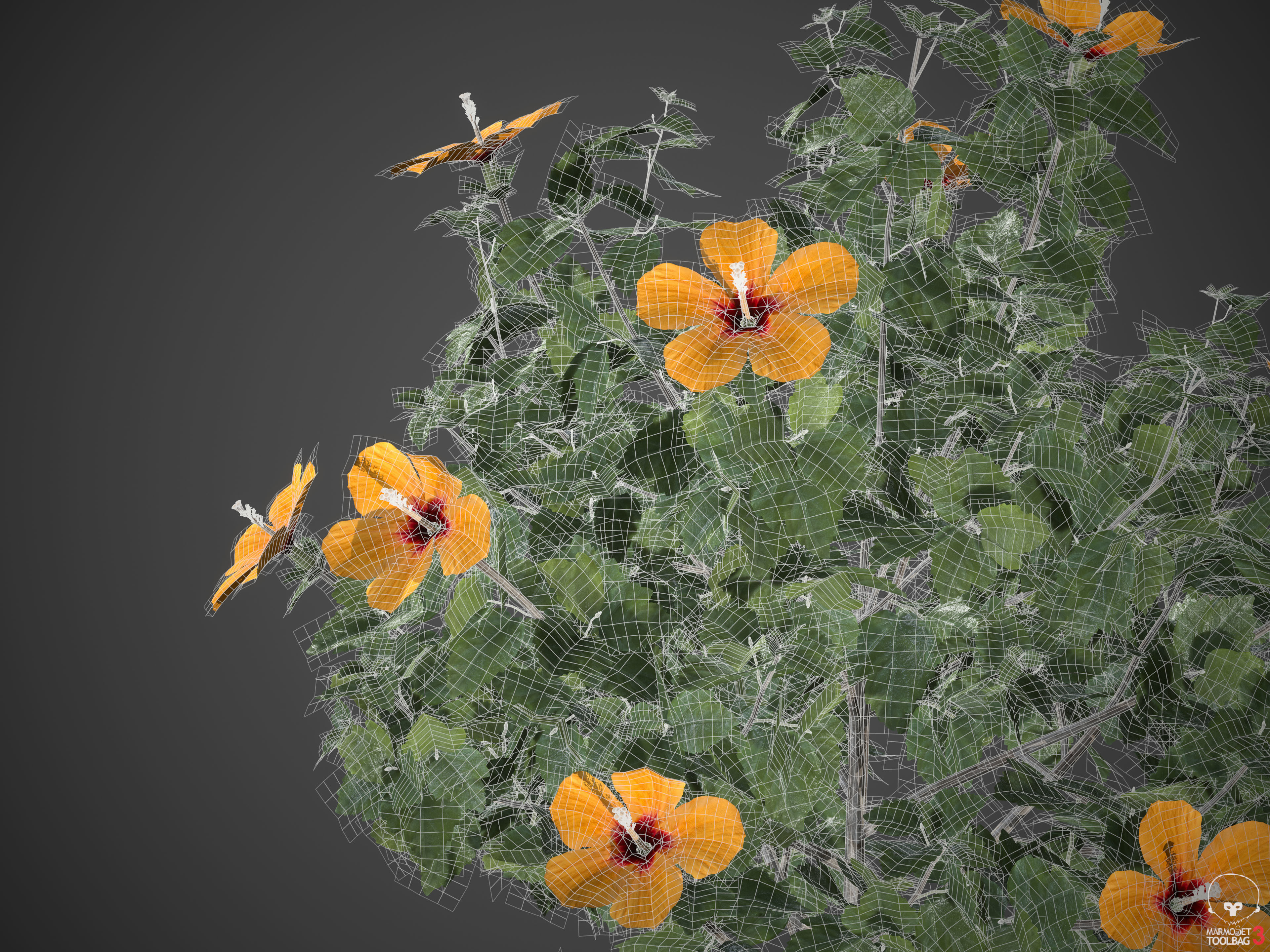 2021 PBR Hibiscus Collection 3D model_8