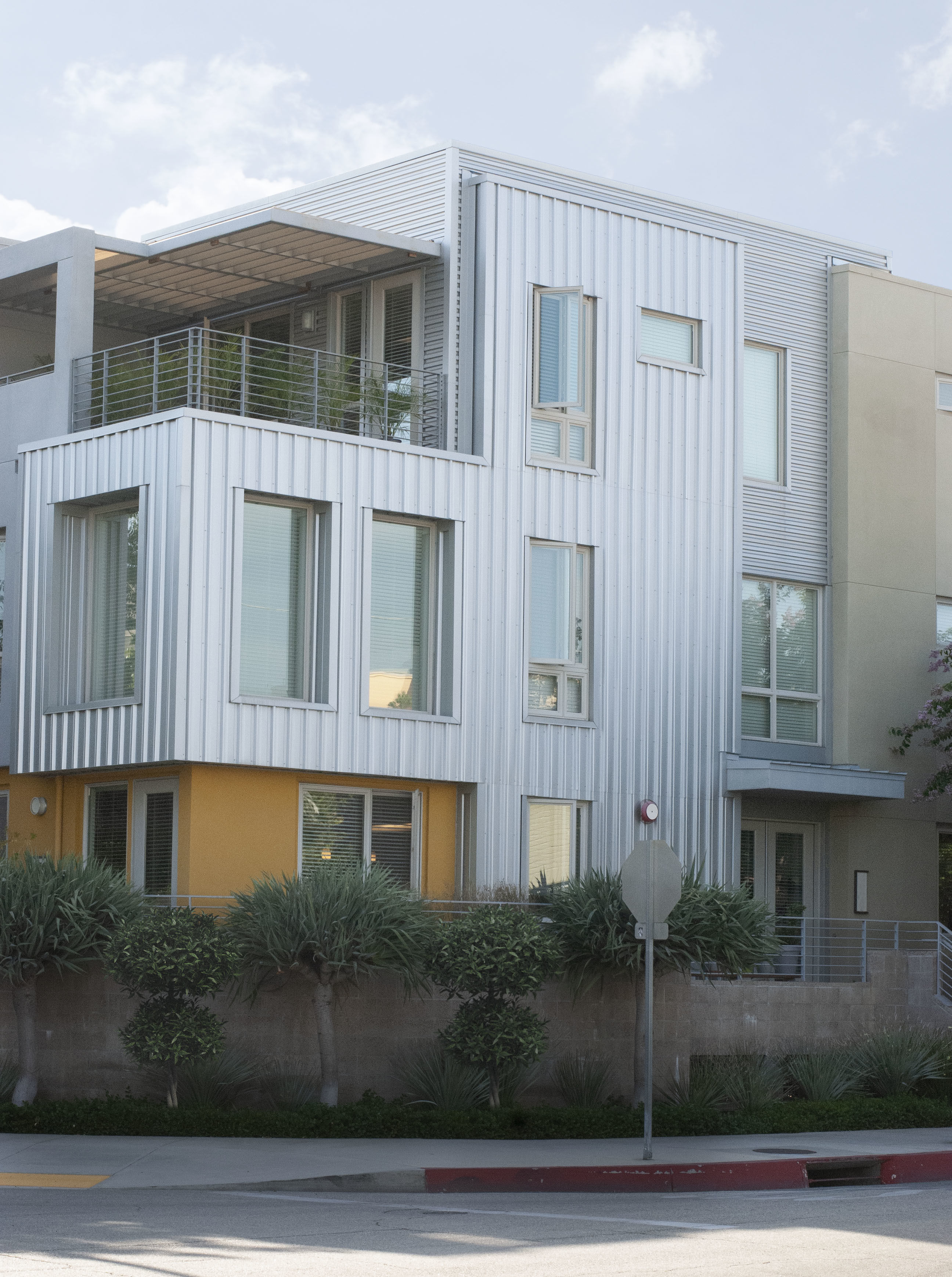 2021 PBR Common Privet Collection - Ligustrum Vulgare  3D model_3