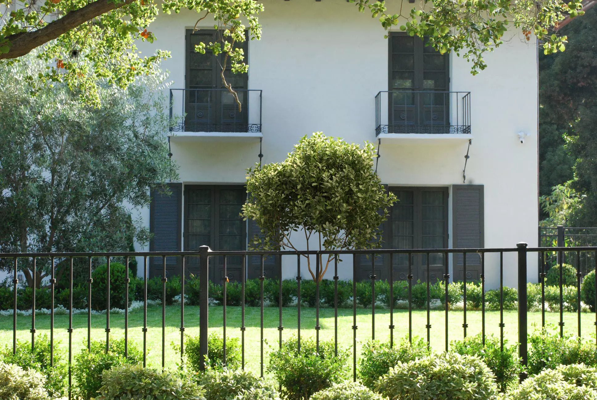 2021 PBR Cherry Laurel Collection - Prunus Laurocerasus  3D model_0