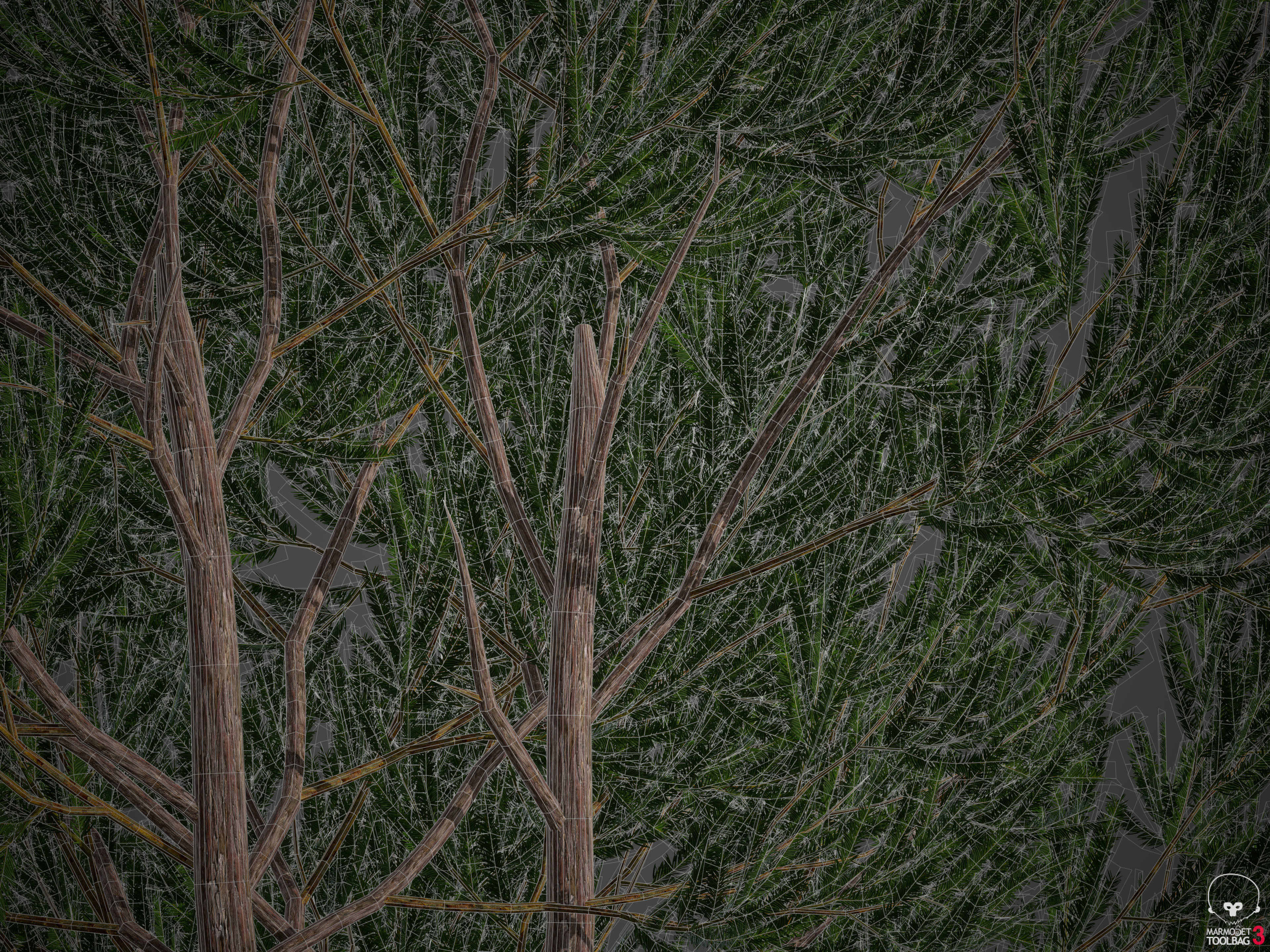 2021 PBR English Yew Collection - Taxus Baccata  3D model_9