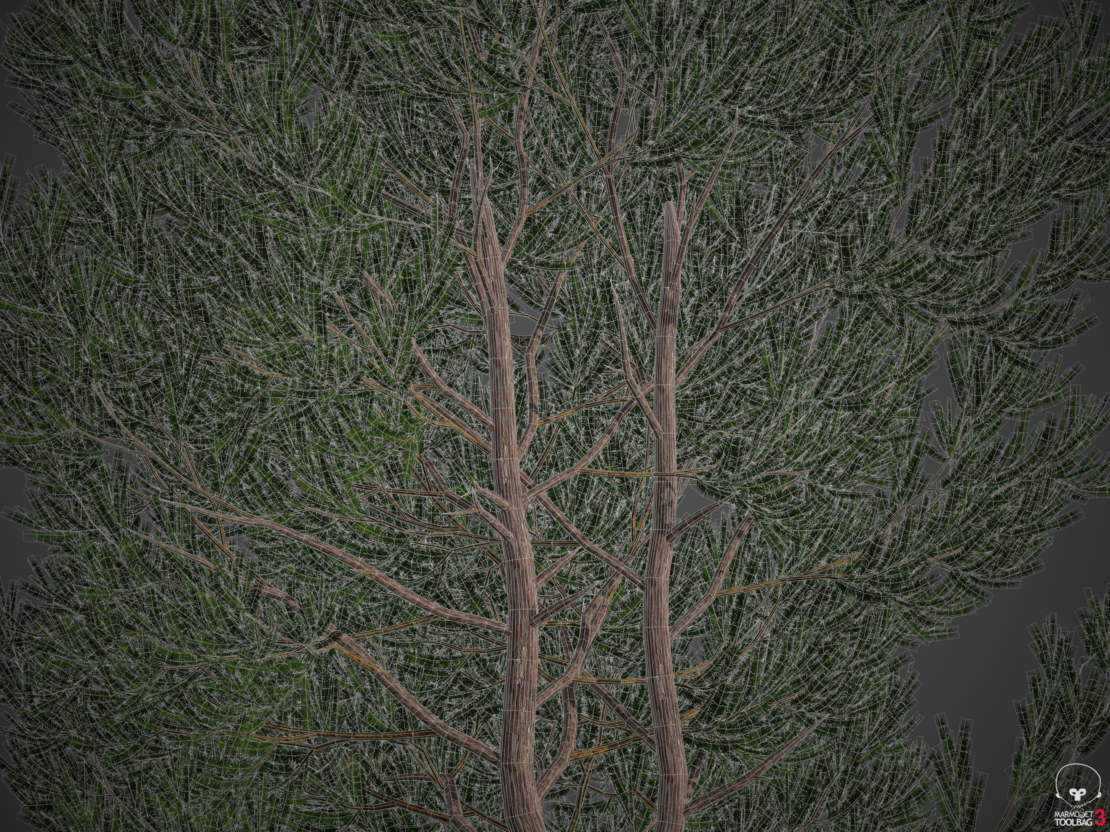 2021 PBR English Yew Collection - Taxus Baccata  3D model_10