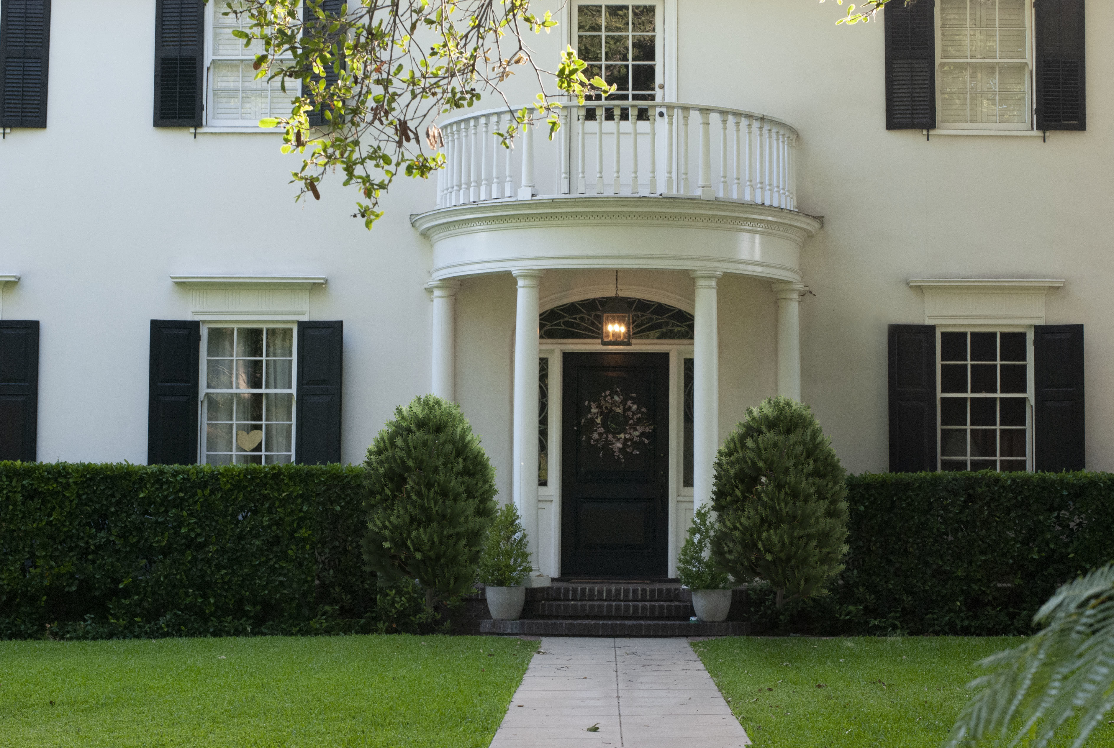 2021 PBR English Yew Collection - Taxus Baccata  3D model_2