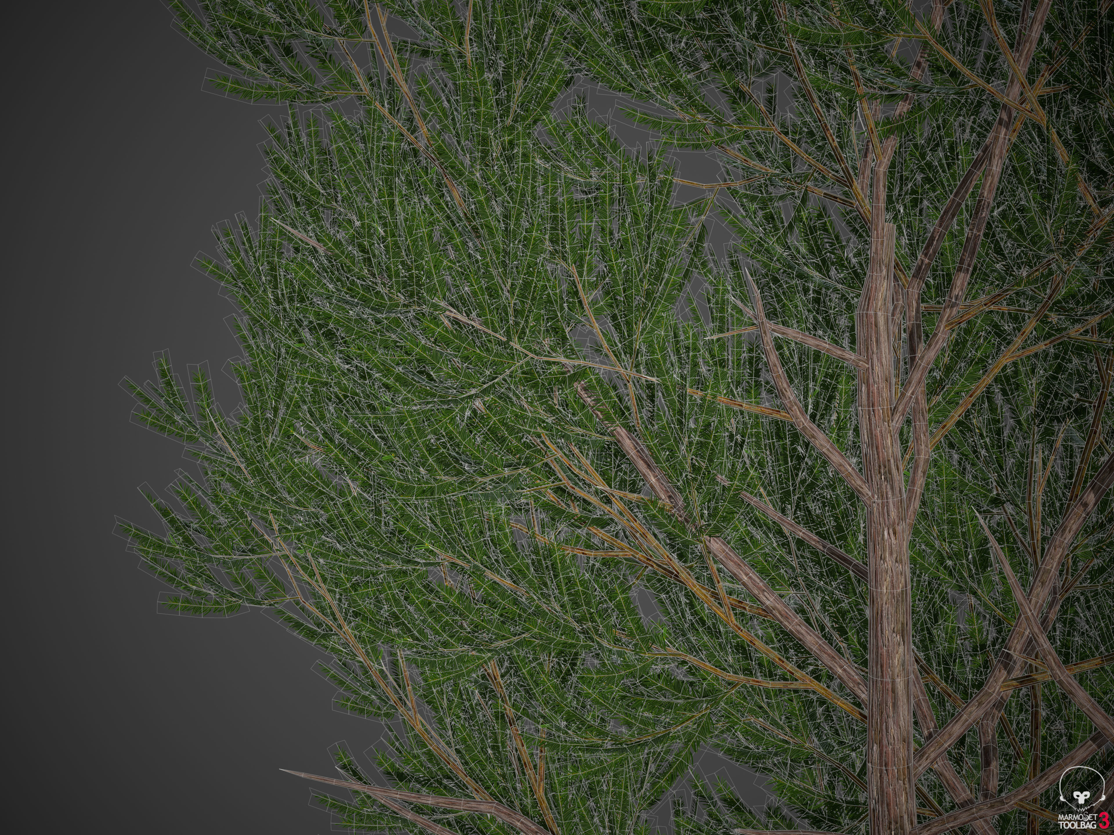 2021 PBR English Yew Collection - Taxus Baccata  3D model_8