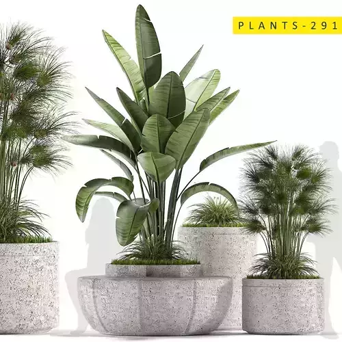Plants 291