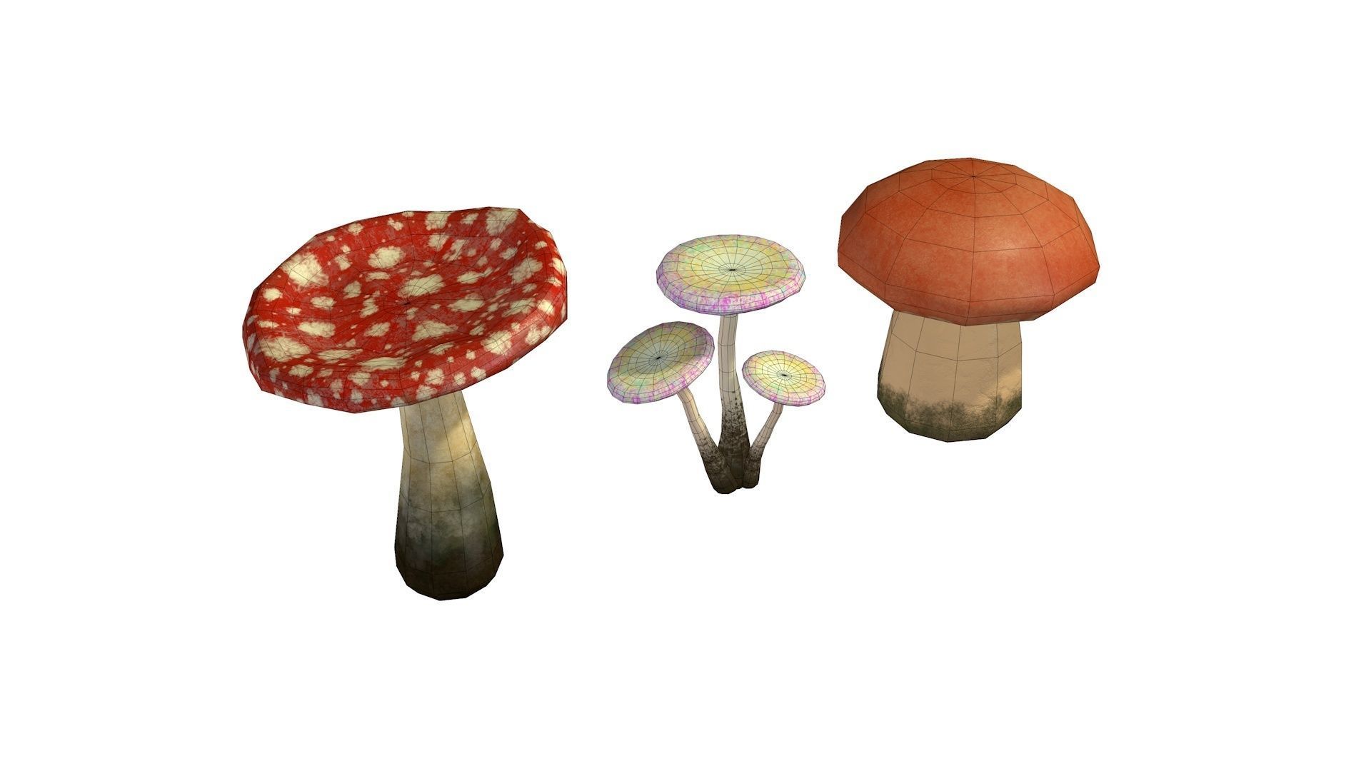 Mushrooms Low-poly 3D model_8