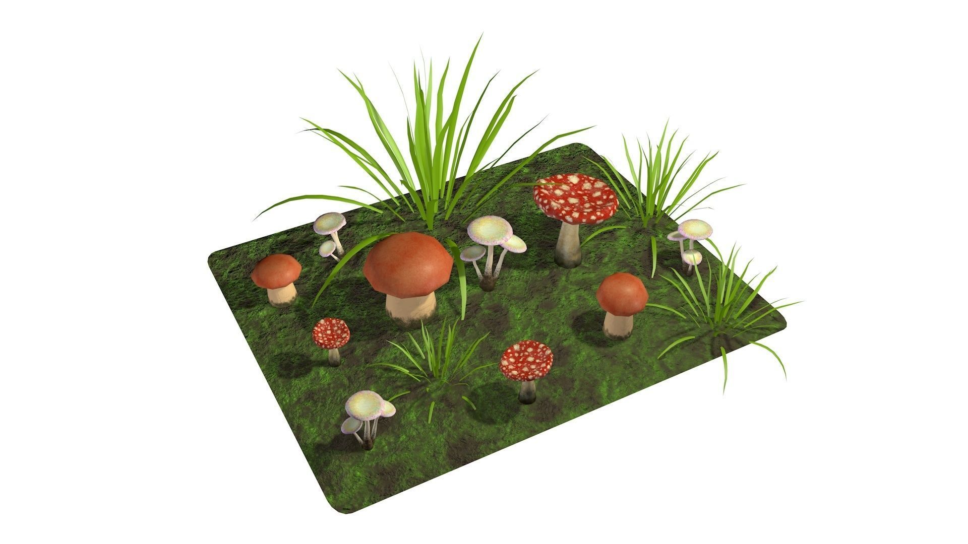 Mushrooms Low-poly 3D model_6