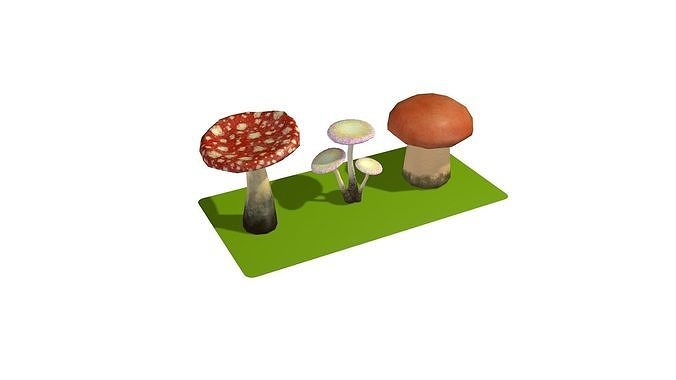 Mushrooms Low-poly 3D model