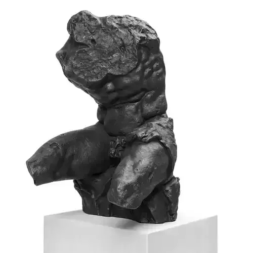 Belvedere Torso sculpture black 3D model