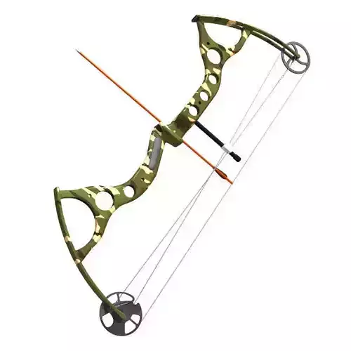 Compound Hunting Bow