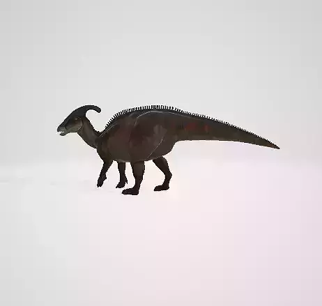parasaulofo dinosaur 3D model