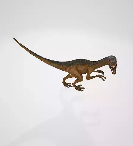 velociraptor dinosaur