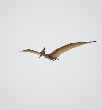 pterodactyl dinosaur flying in sky 3D model