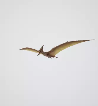 pterodactyl dinosaur flying in sky 3D model
