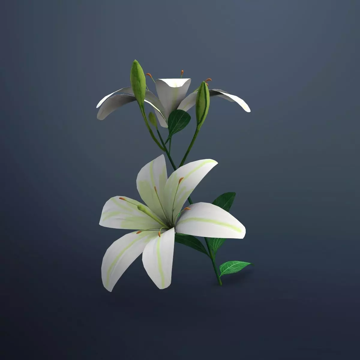 Lily flower 3D model