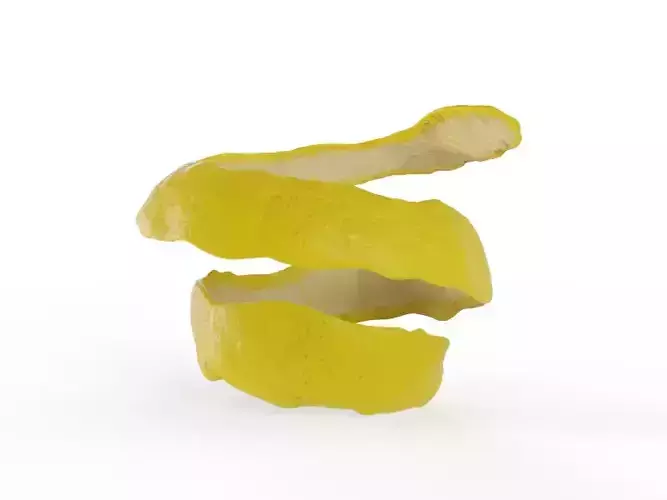 Lemon Peel 3D model