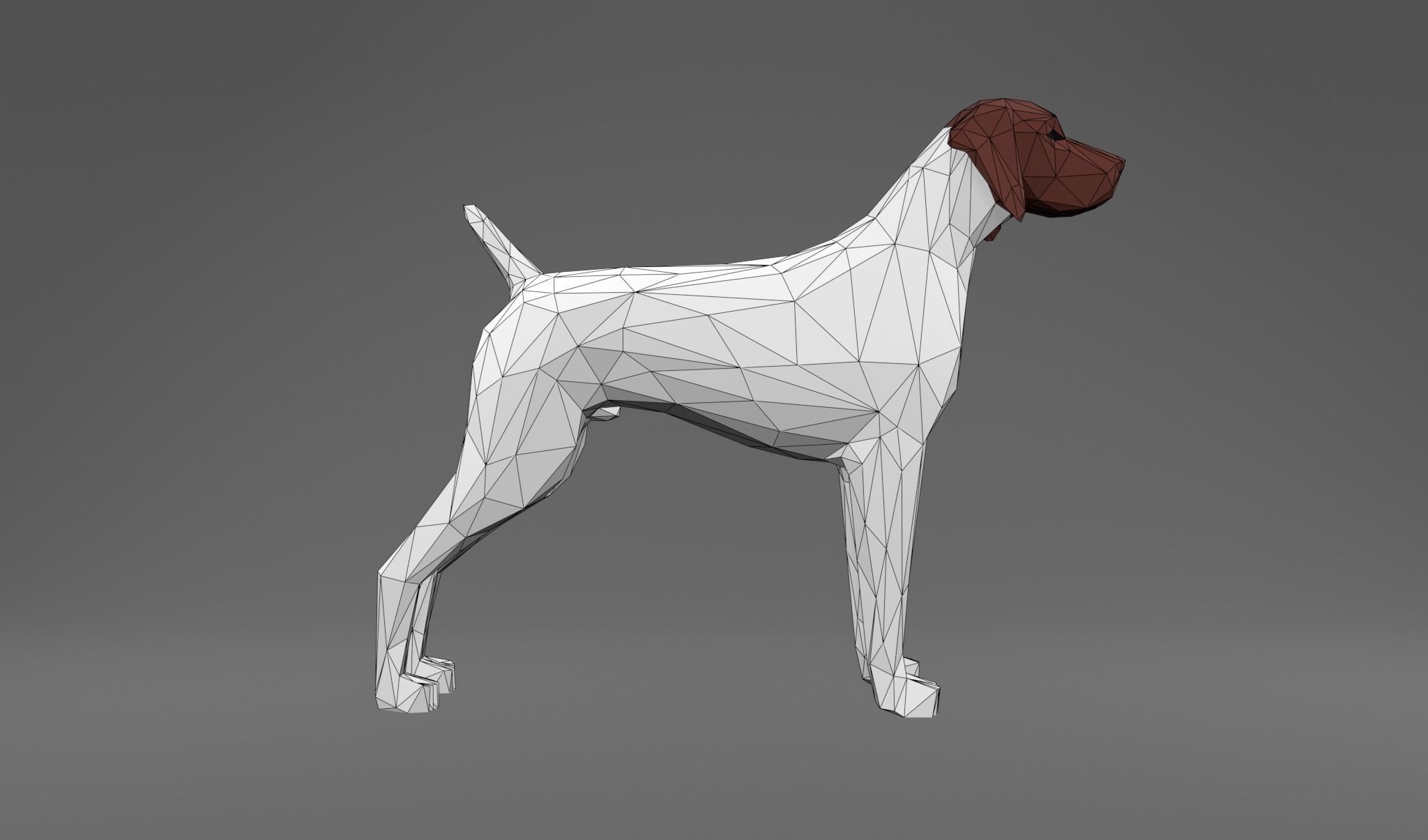 4 Dogs - Geman Shothaired - Braque allemand Lowpoly 3D print model_12