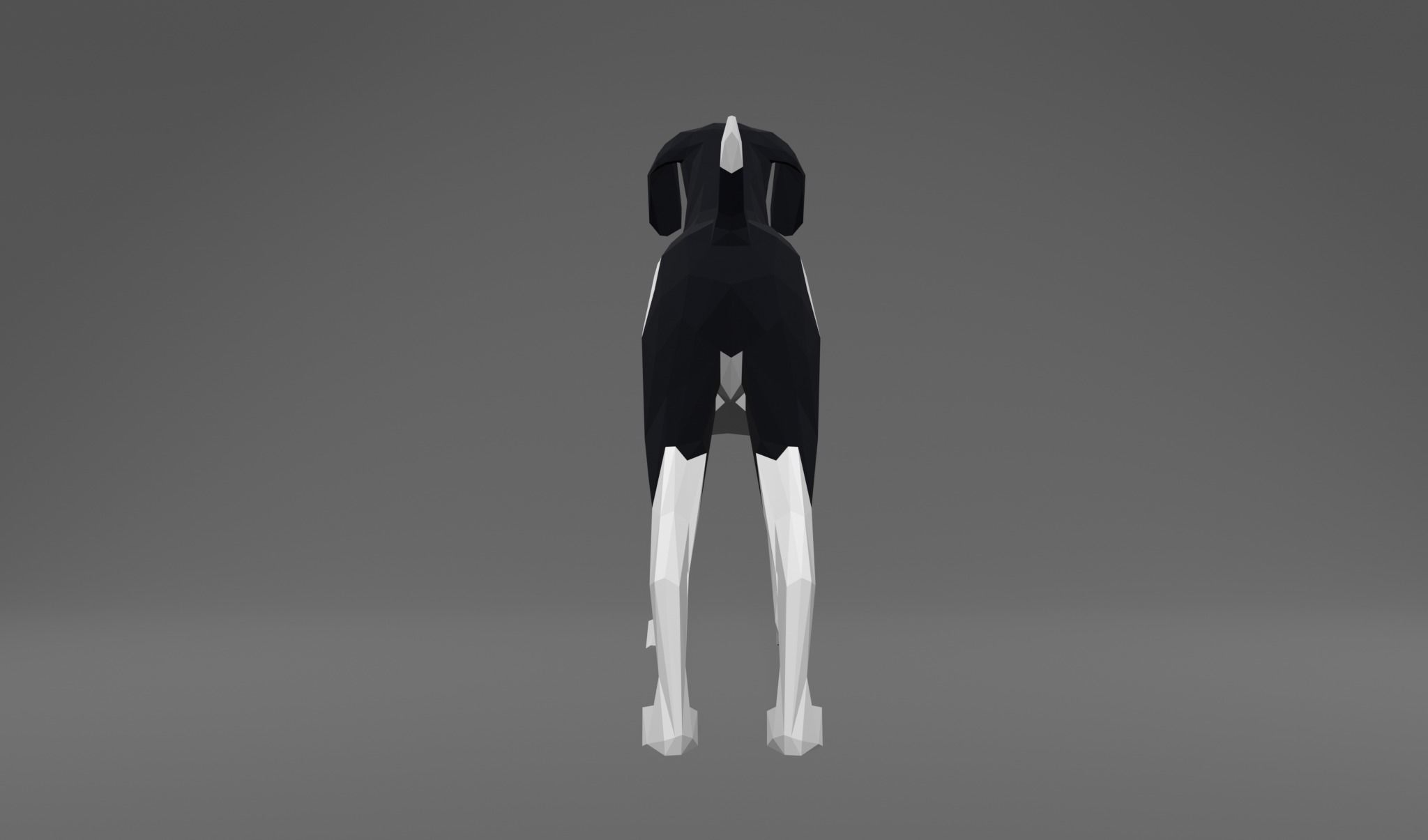 4 Dogs - Geman Shothaired - Braque allemand Lowpoly 3D print model_17