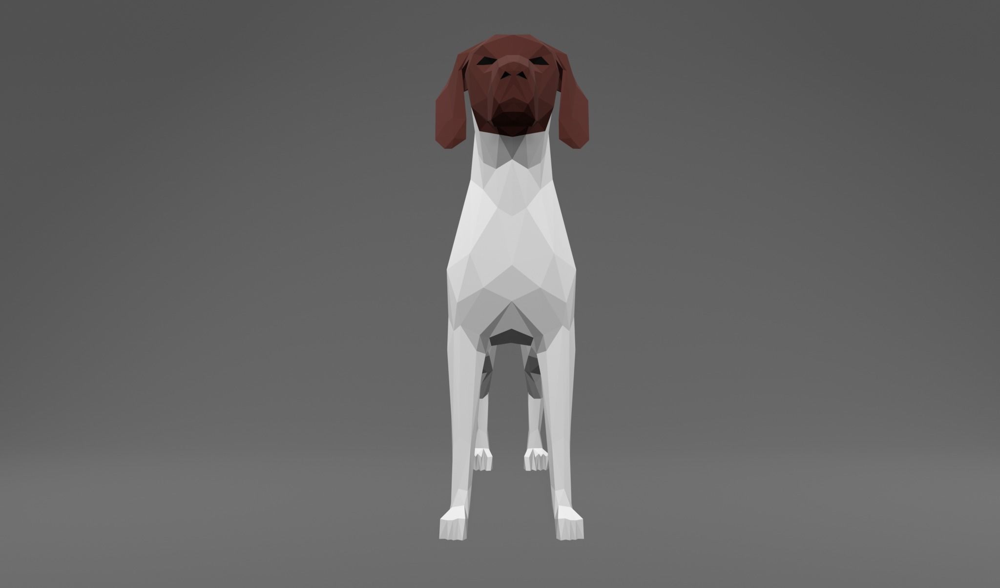 4 Dogs - Geman Shothaired - Braque allemand Lowpoly 3D print model_18