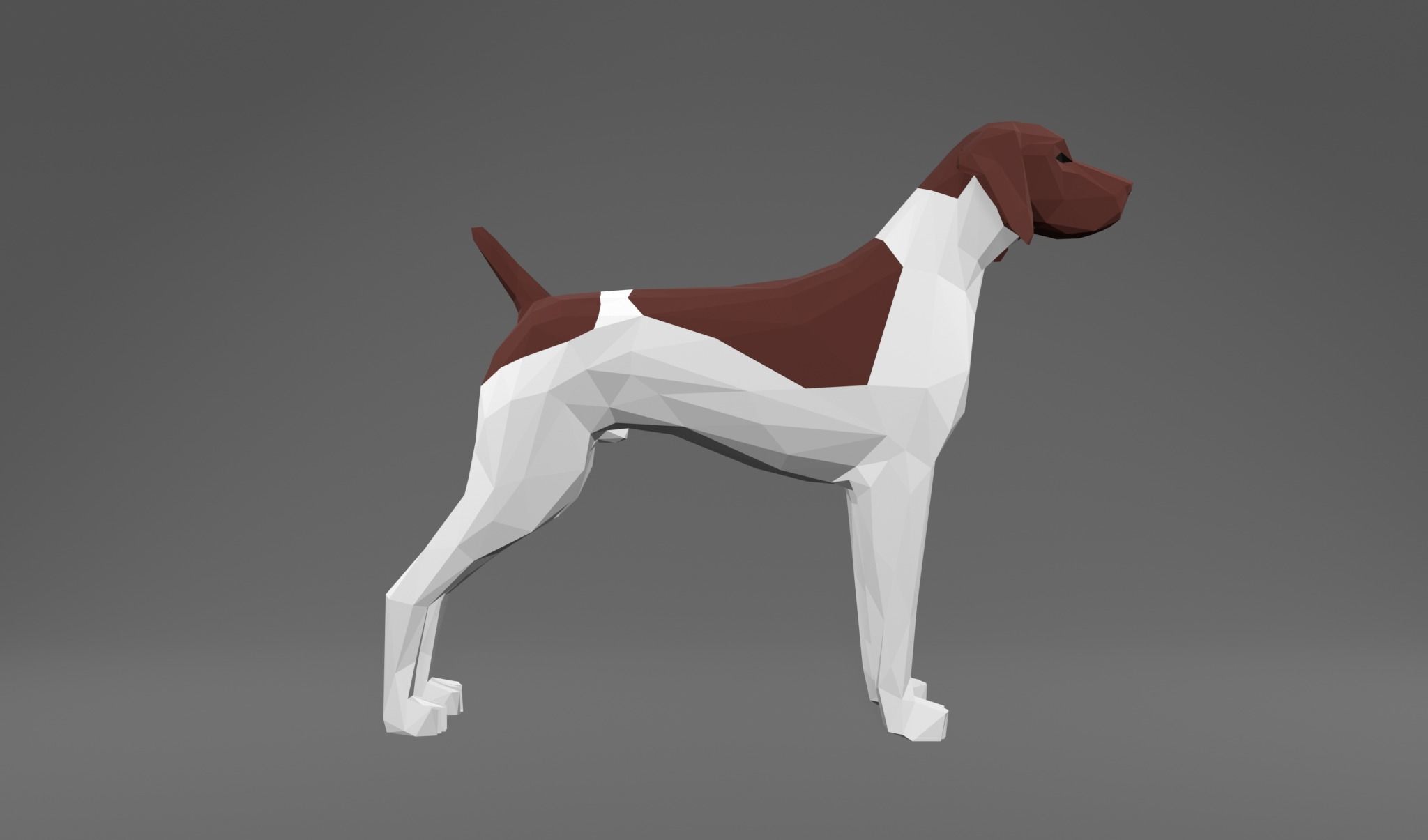 4 Dogs - Geman Shothaired - Braque allemand Lowpoly 3D print model_20