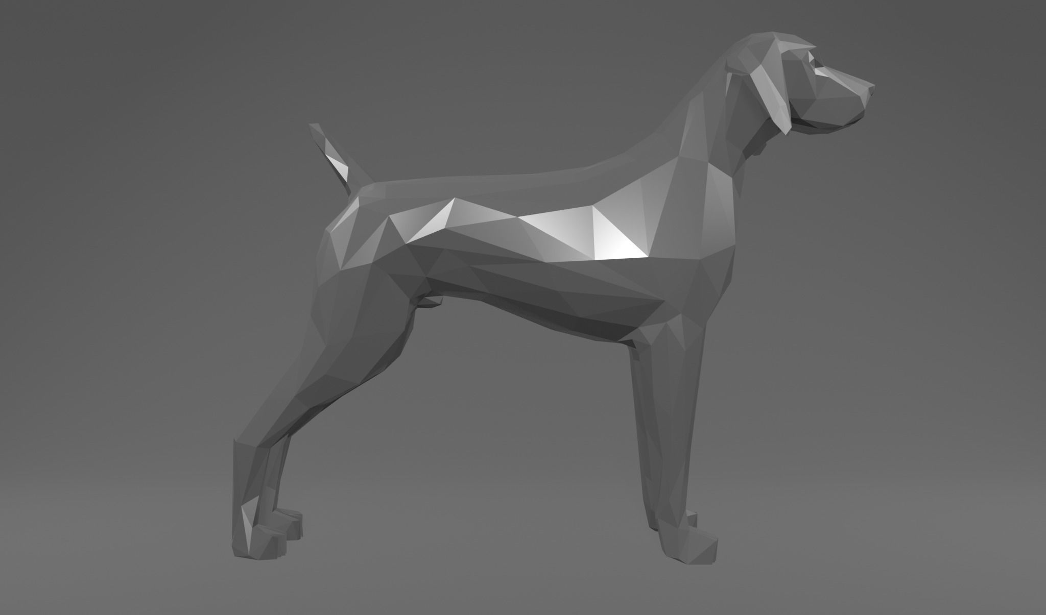 4 Dogs - Geman Shothaired - Braque allemand Lowpoly 3D print model_5