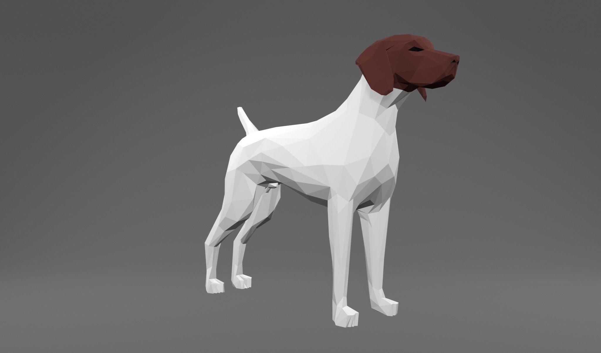 4 Dogs - Geman Shothaired - Braque allemand Lowpoly 3D print model_8