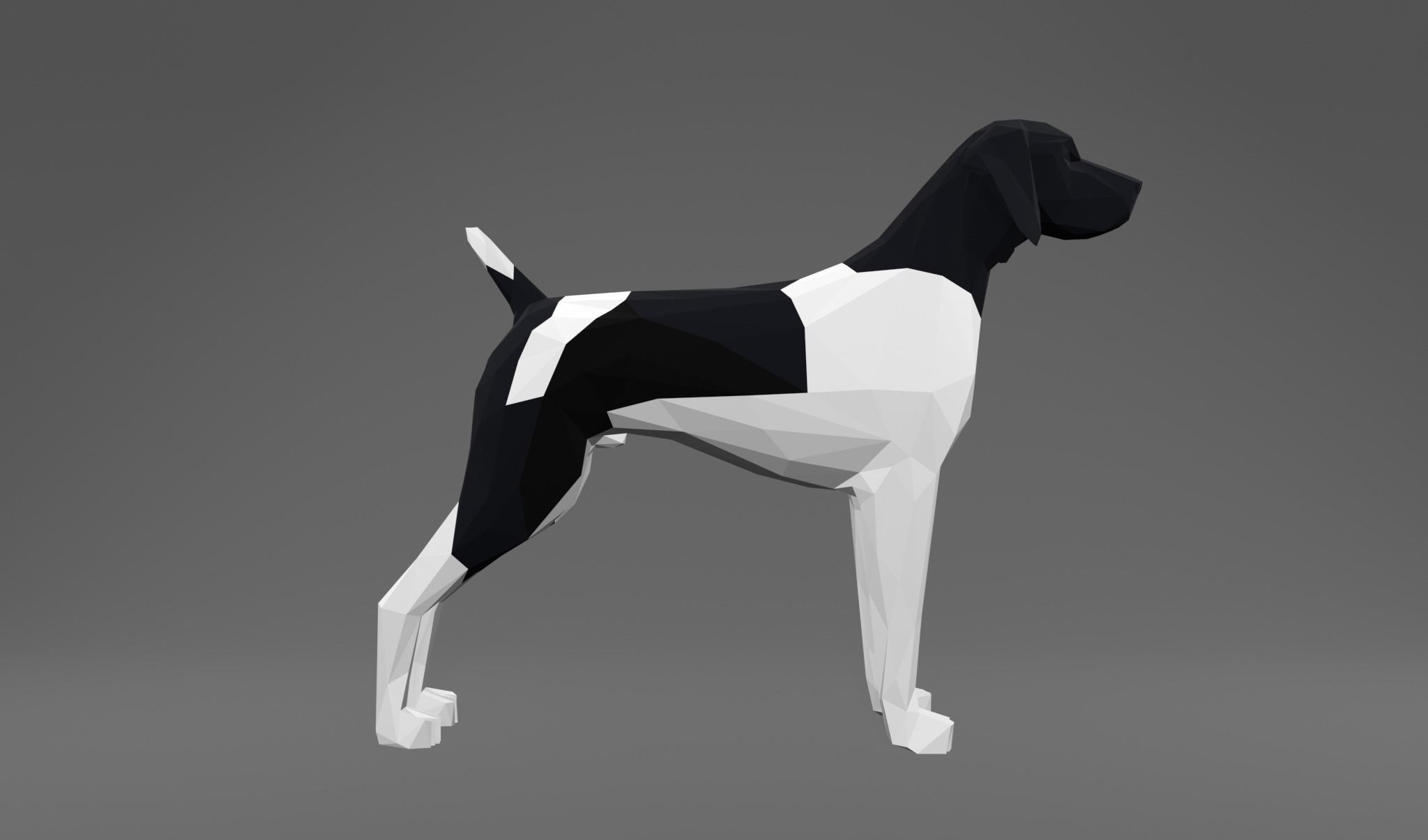 4 Dogs - Geman Shothaired - Braque allemand Lowpoly 3D print model_15