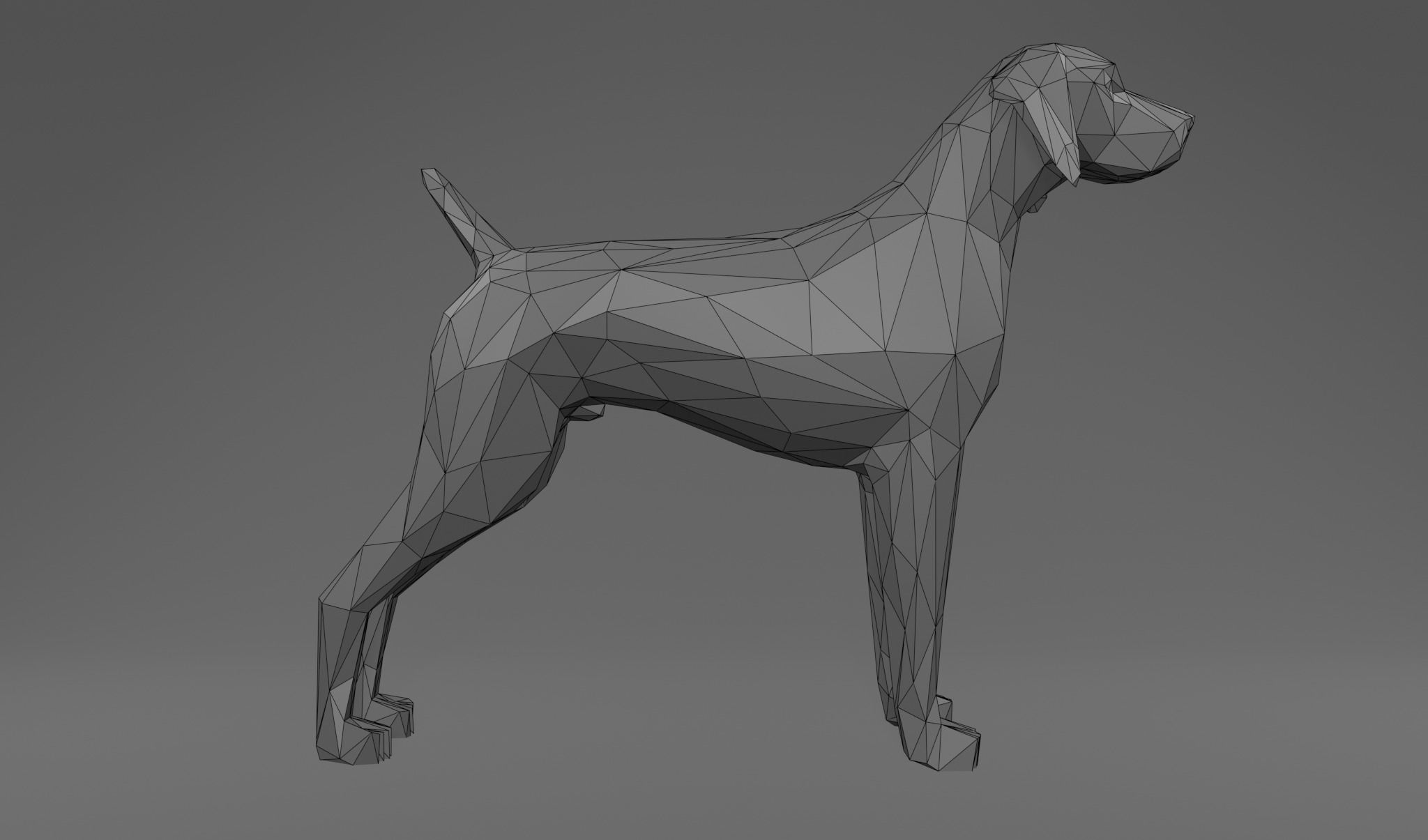 4 Dogs - Geman Shothaired - Braque allemand Lowpoly 3D print model_6