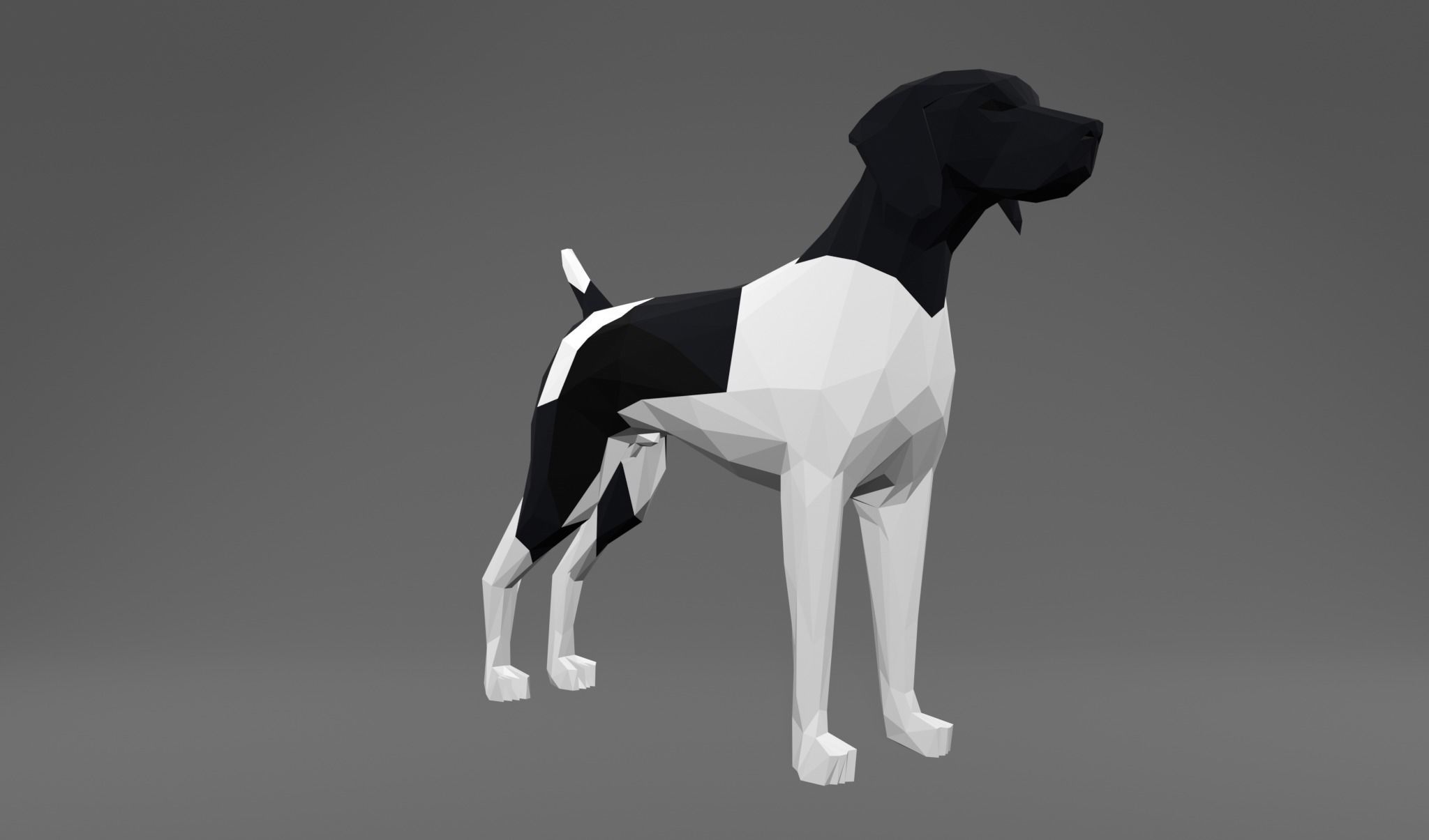 4 Dogs - Geman Shothaired - Braque allemand Lowpoly 3D print model_14