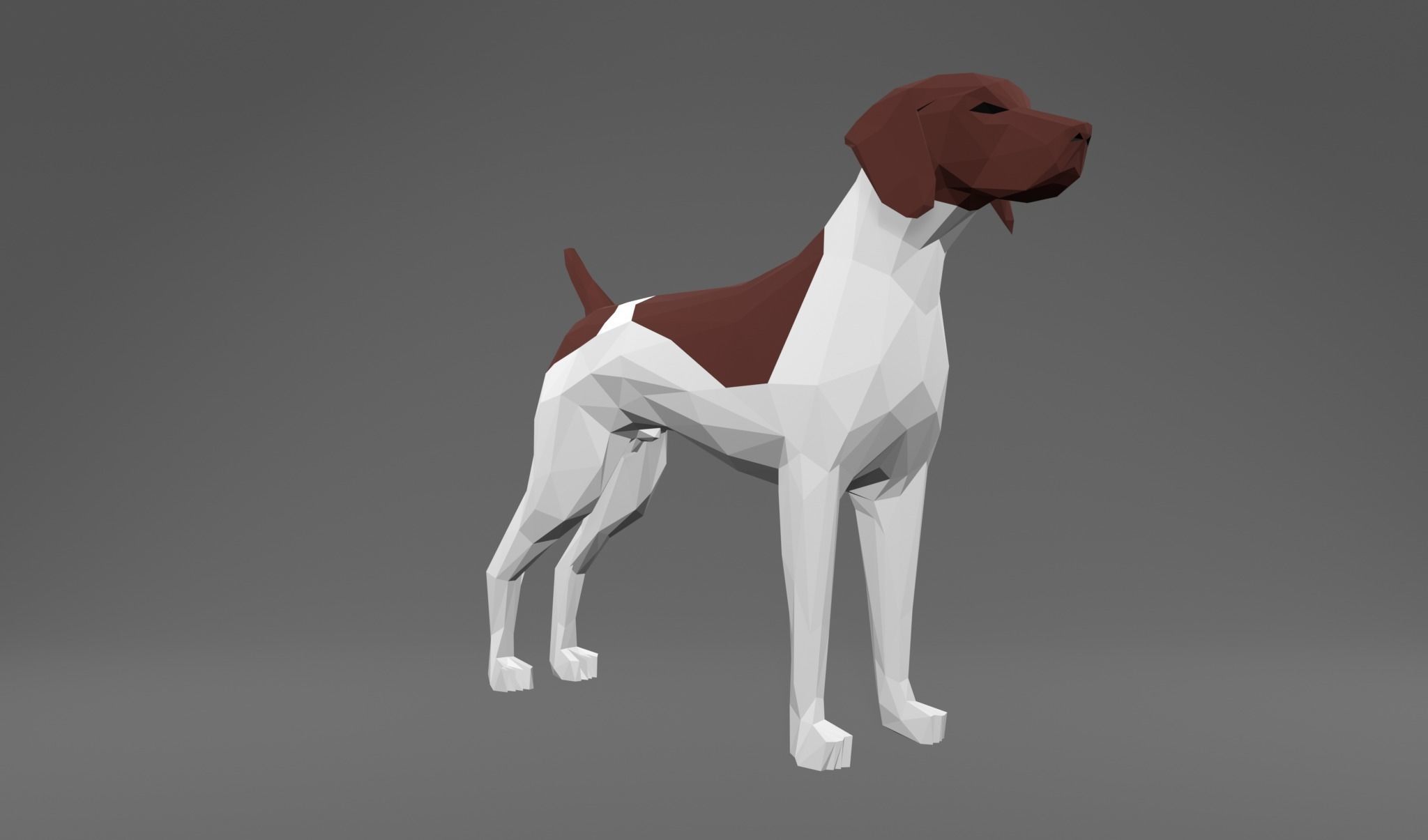 4 Dogs - Geman Shothaired - Braque allemand Lowpoly 3D print model_19