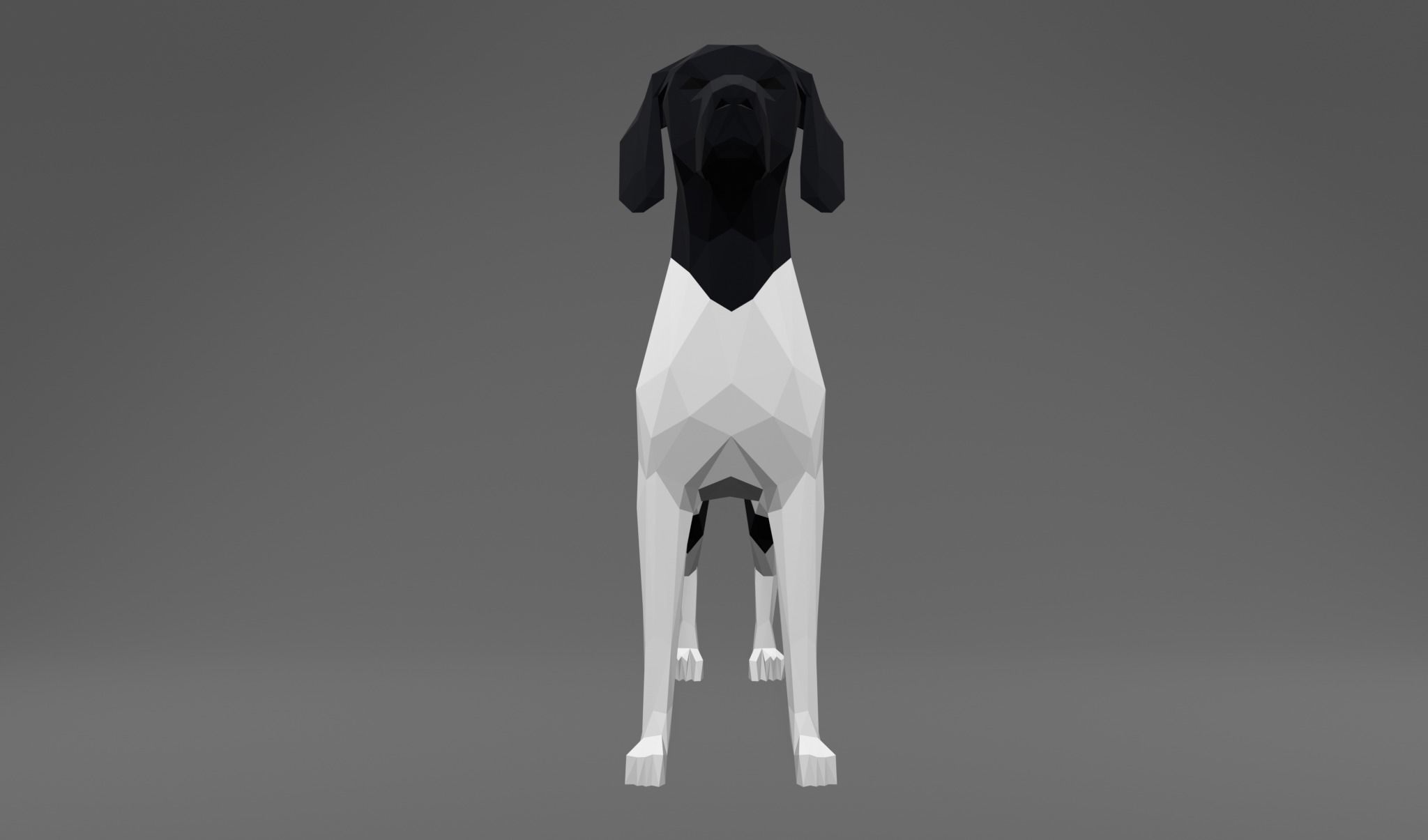 4 Dogs - Geman Shothaired - Braque allemand Lowpoly 3D print model_13