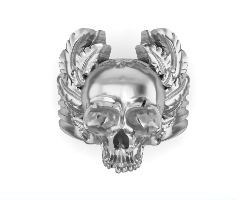 mens ring skull with feathers 3D print model_11
