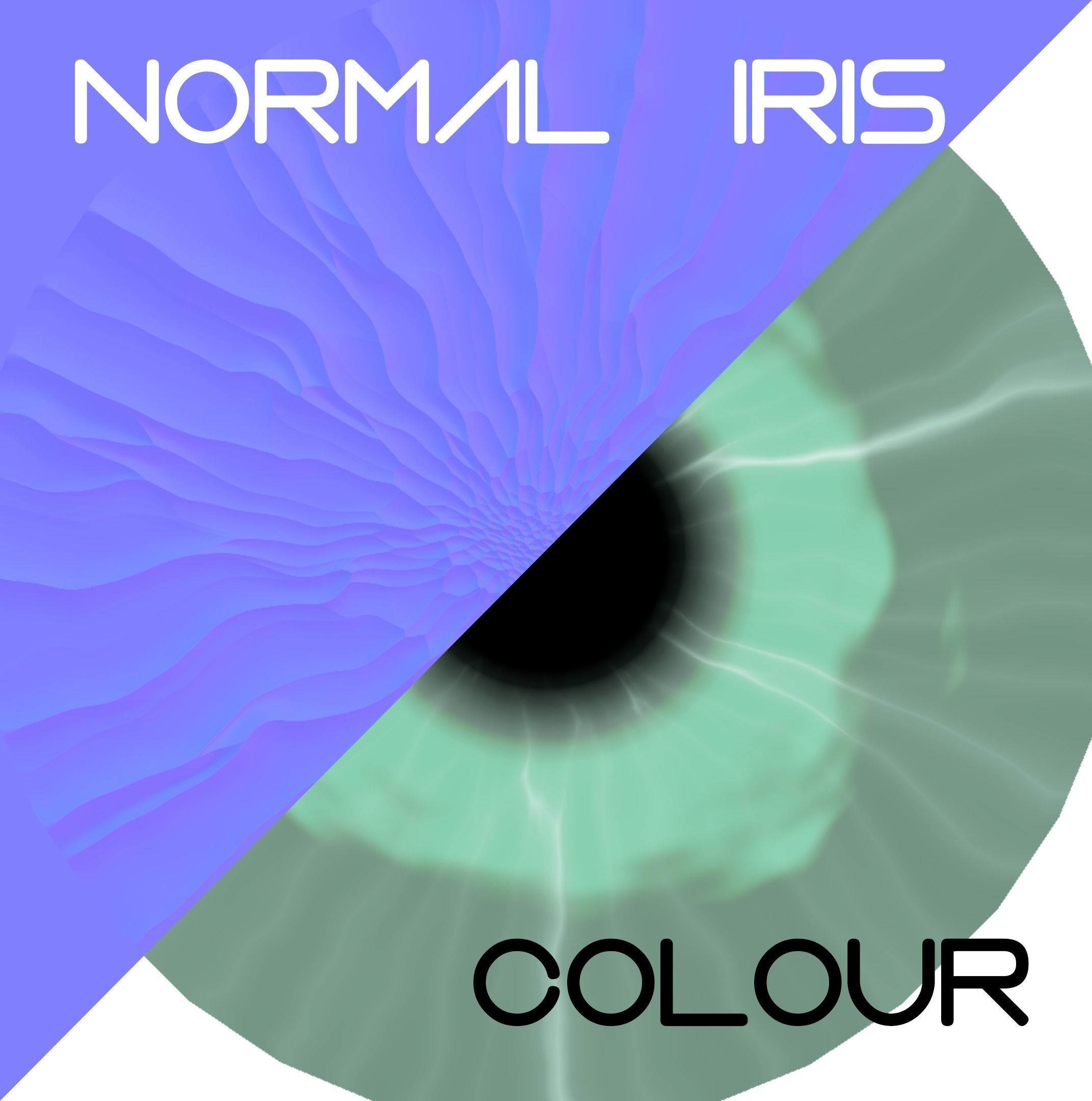 Rigged Semi Realistic Low-poly Eyeballs Low-poly 3D model_16