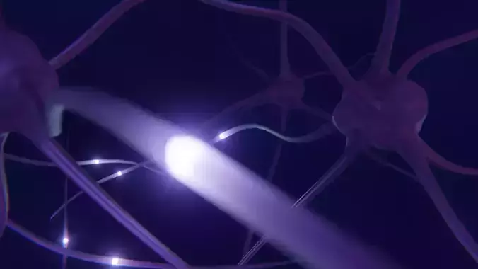 Brain Neuron With Animated Electrical Pulses 3D model